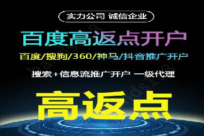 竞价推广策略：某电商平台的成功案例